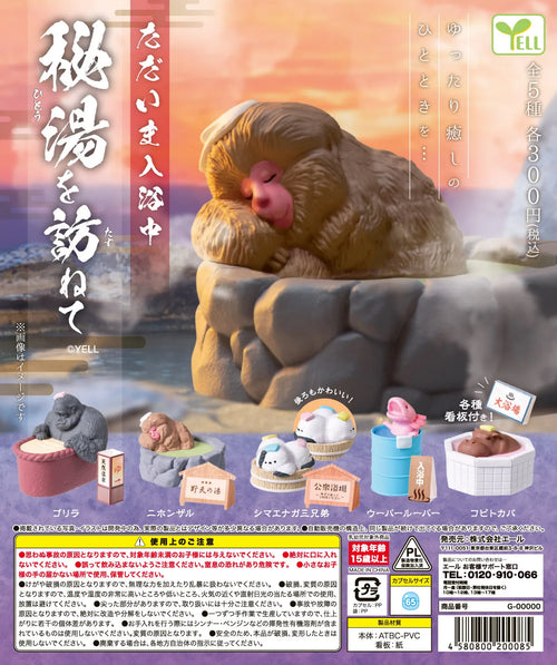 Ahora mismo en la bañera — gachapon japonés, foto 1