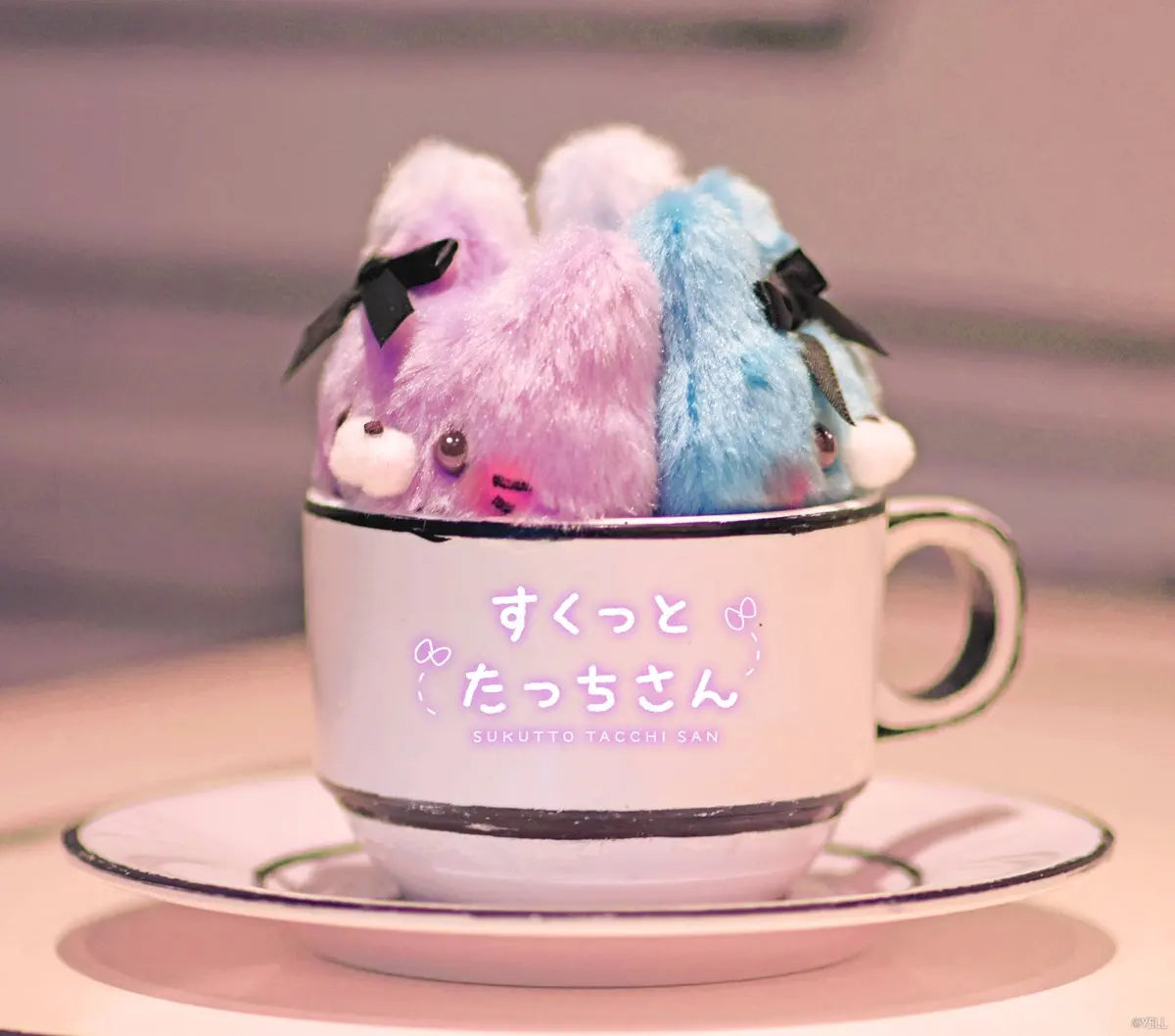 Yell Sukkutto Tatchi-san Kon Cafe Bunnies