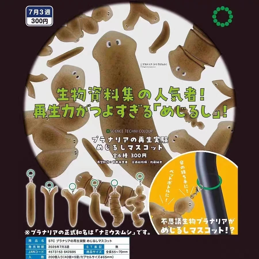 Turbelarios planos (Ikimon) · gachapon coleccionable