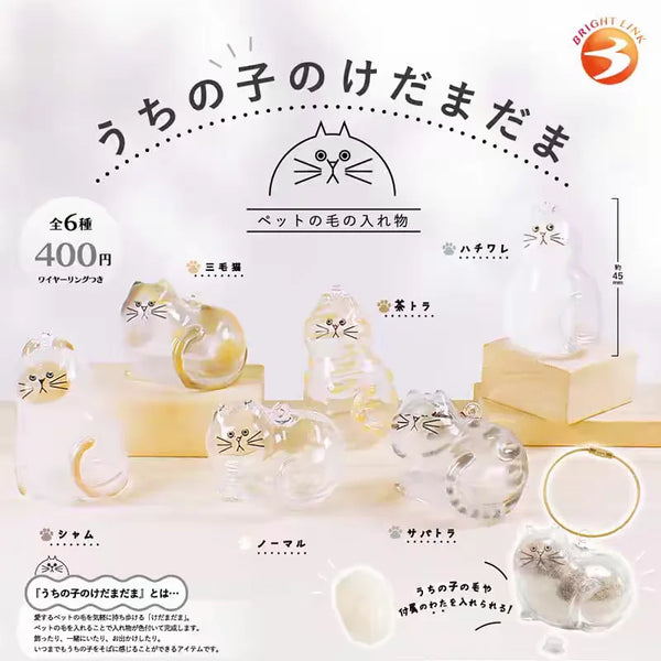 Bright Link — transparentes brillantes · gachapon coleccionable